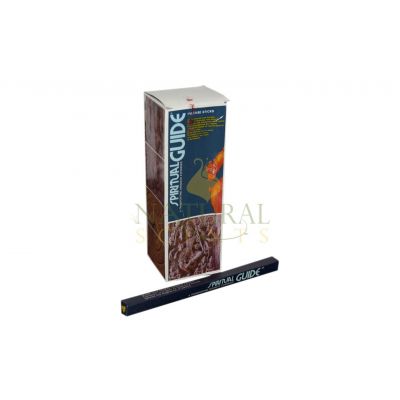 Padmini Spiritual Guide Incense Sticks – 8 Sticks Pack