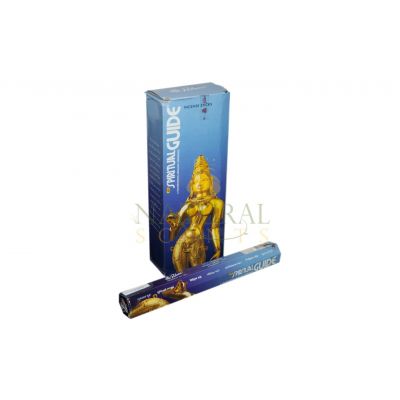 Padmini Spiritual Guide Incense Sticks – 20 Sticks Pack