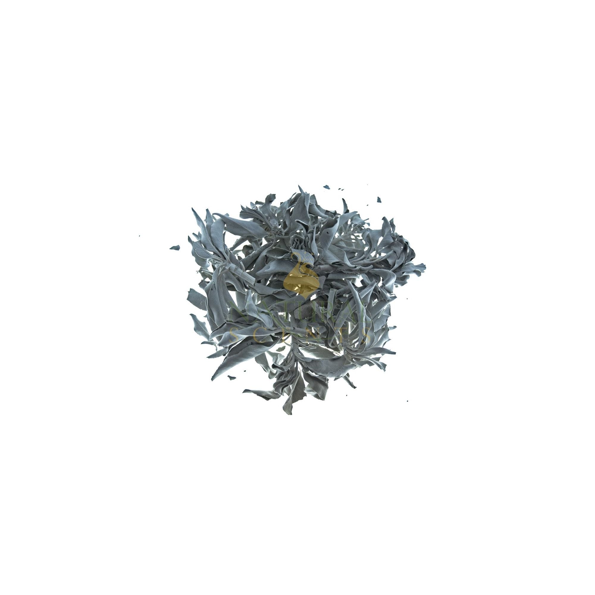 Premium White Sage Leaves 1 lb